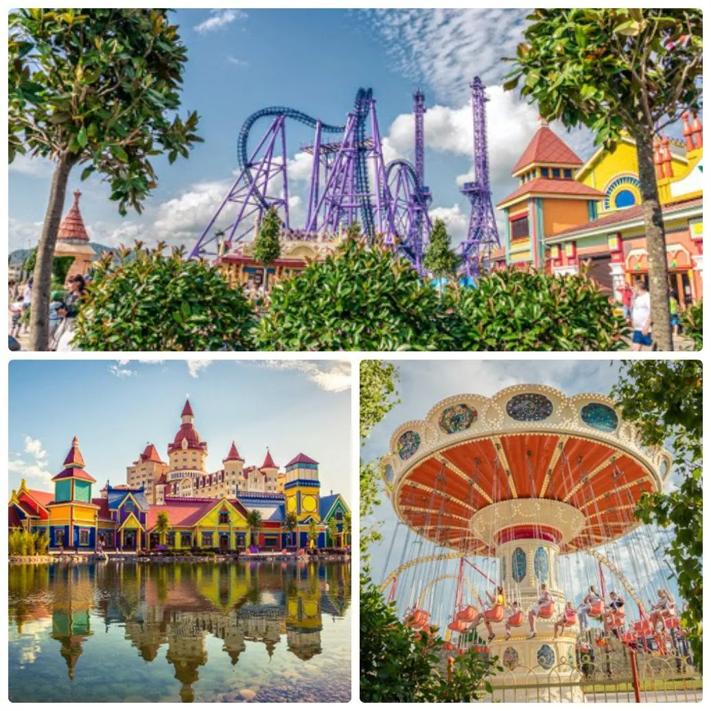 Цена на коллективные поездки и график движения